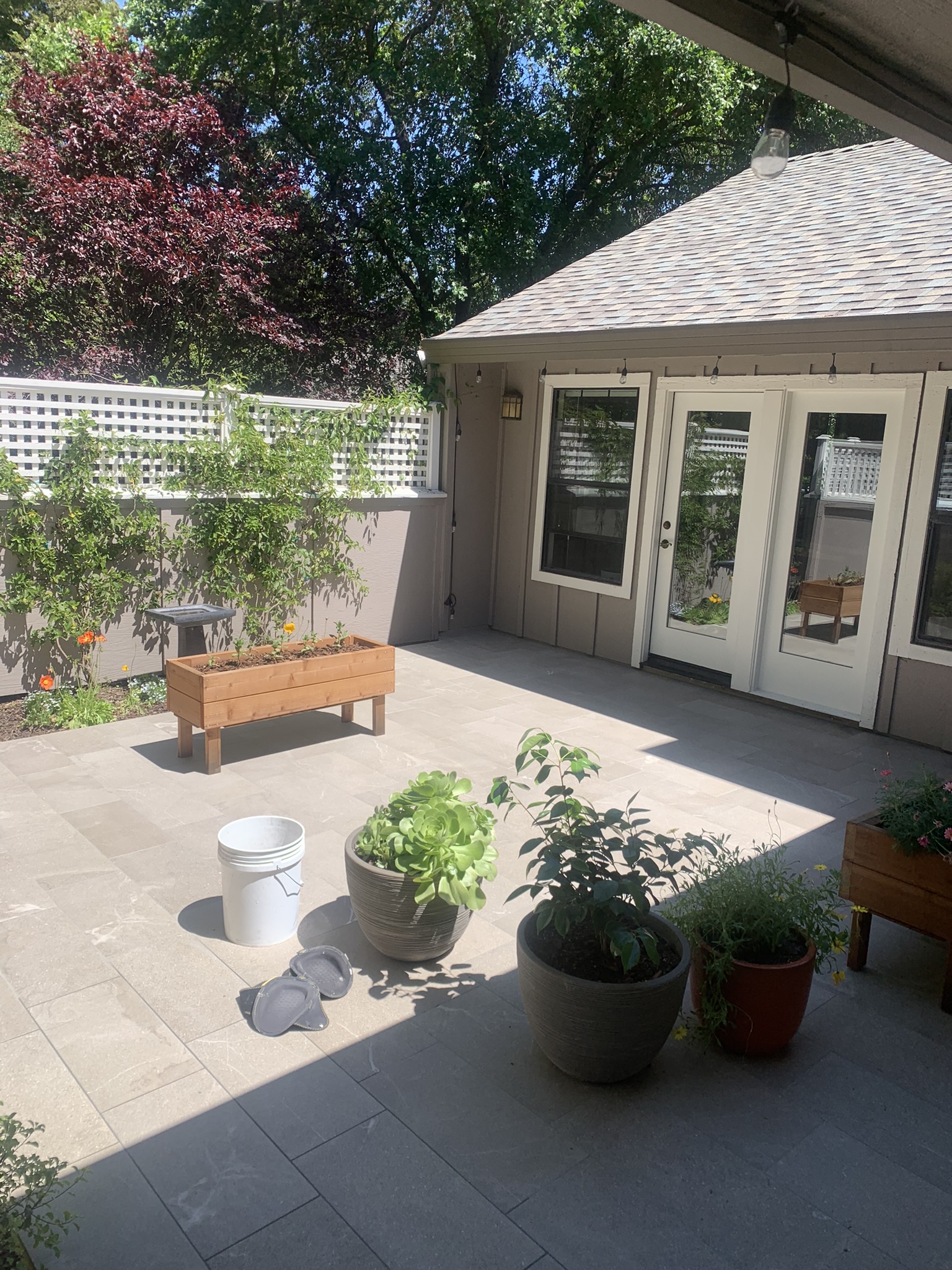 San Francisco Outdoor Living Area